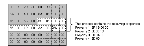a frame that contains a protocol instance