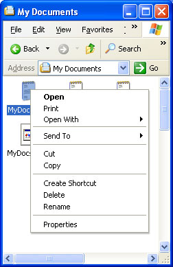 screen shot of the customized shortcut menu for file system objects