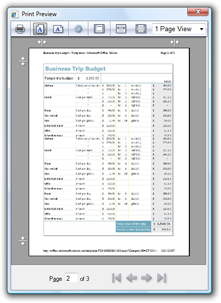 screen shot of same report optimized for print 