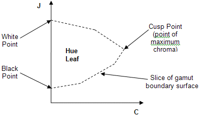 Diagram that shows a hue leaf.