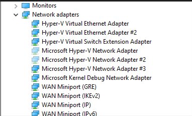 Screenshot of Network adapters list