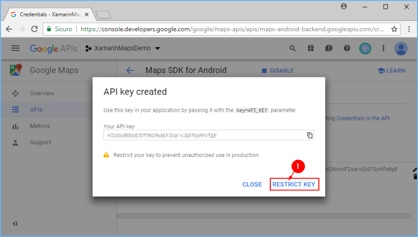 Clicking Restrict Key on the Credentials page