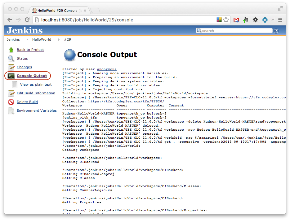 This screenshot shows the Console Output link, as well as some of the output from a successful job