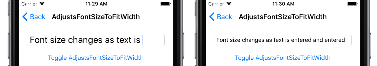 Adjust Entry Font Size Platform-Specific