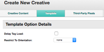 A screenshot of the Template tab with the Template Option Details settings.