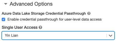 Credential passthrough single user
