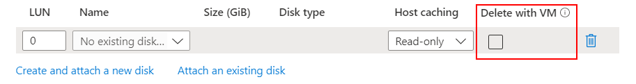 Screenshot showing the checkbox to choose to delete the data disk when the VM is deleted.