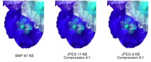 AboutGdip03_Art03 Filetype samples