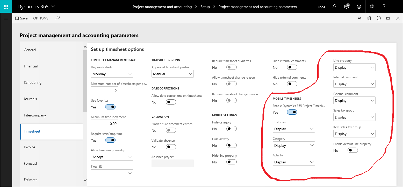 Screenshot of project parameters showing Mobile timesheets configuration options.