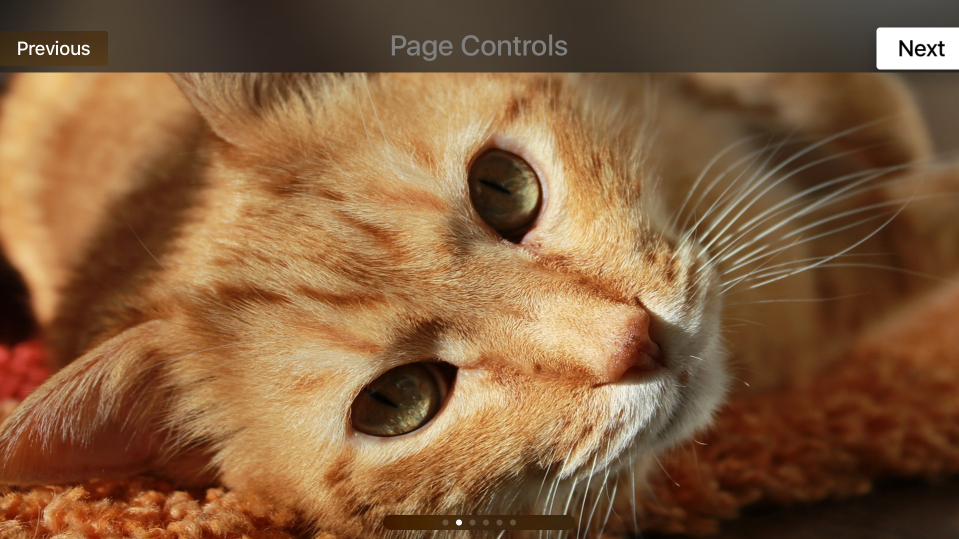 Sample Page control