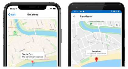 Map pin with information window Screenshot of a map pin and its information window, on iOS and Android