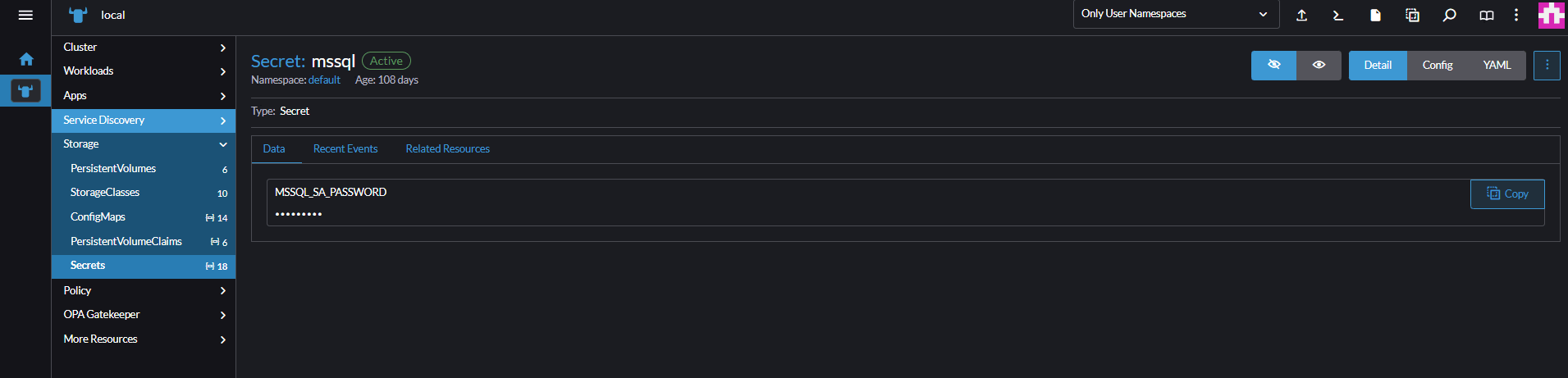Screenshot of the password secret.