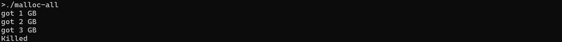 Screenshot of of memory allocation error.