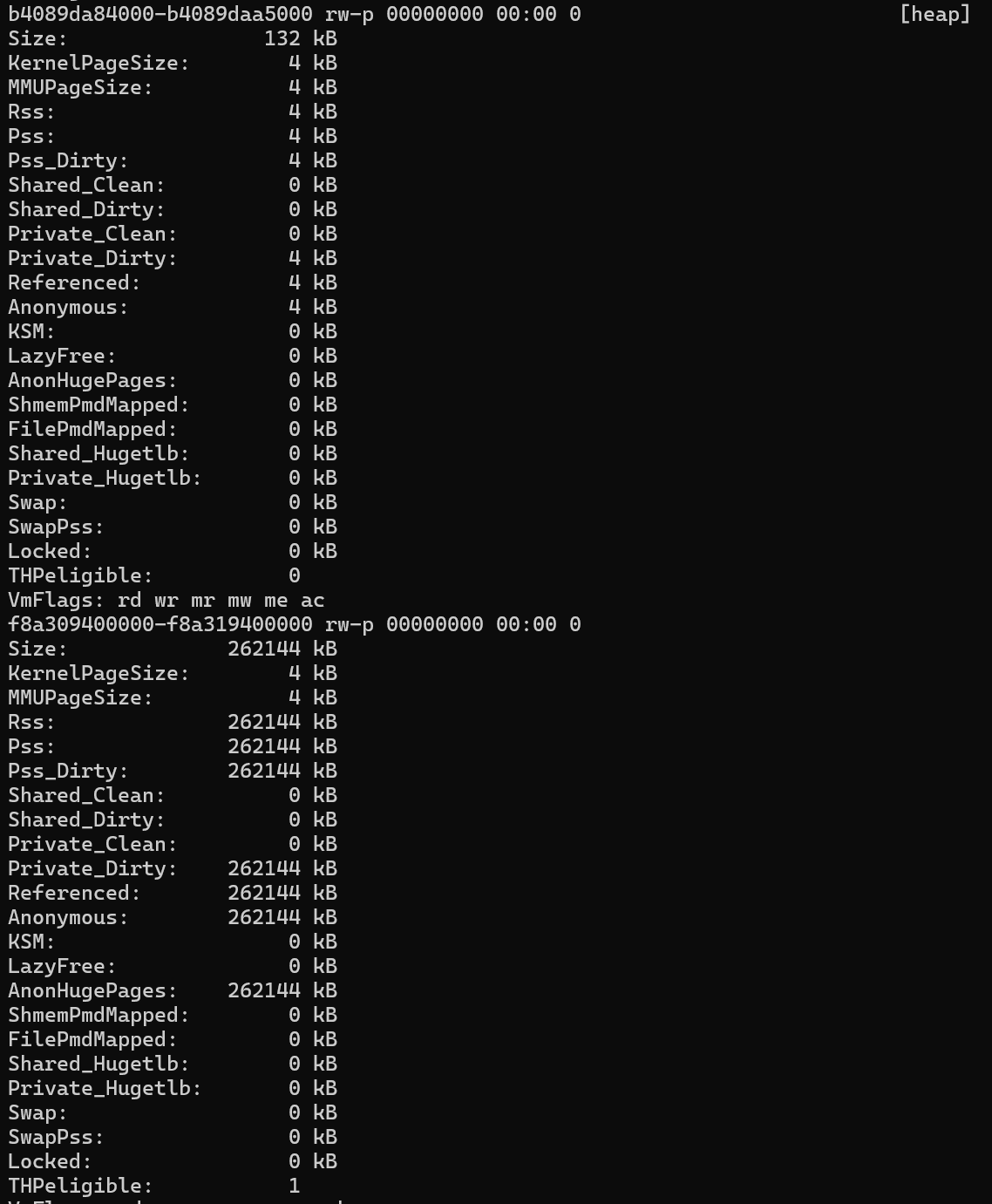 Screenshot of THP usage by the sample C program.