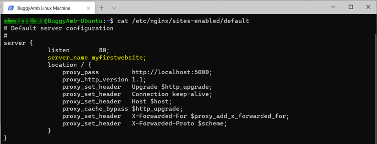 Screenshot of cat default command.