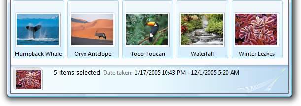 screen shot of list of five selected thumbnails