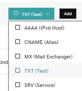 Seleccione TXT en la lista desplegable Tipo para el registro TXT de comprobación de dominio.