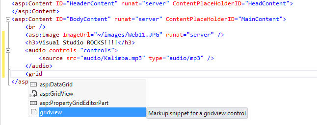 Inserting a GridView with IntelliSense lists and partial matching