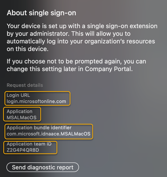 Captura de pantalla que muestra los detalles de más información sobre la extensión de SSO desde la pantalla de SSO de la solicitud.