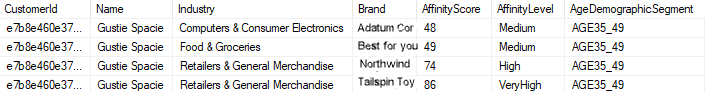 Ejemplo de registros de un cliente con atributos de afinidad de marca en una tabla de base de datos.