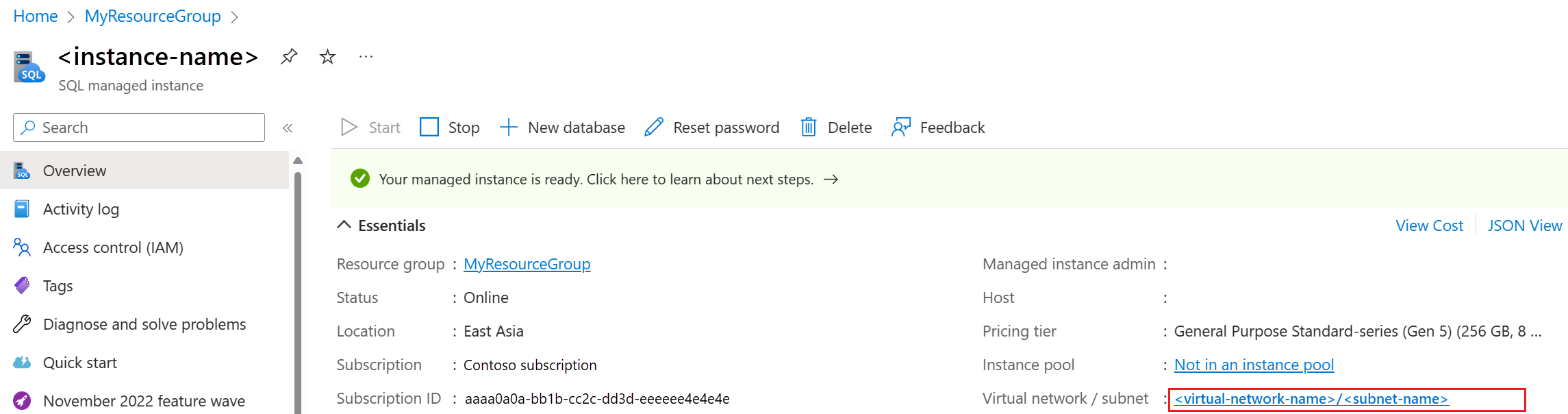Screenshot of the SQL managed instance Overview page of the Azure portal, with the subnet selected.