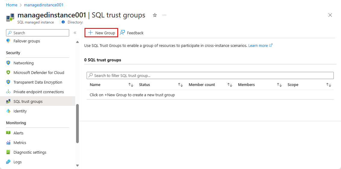 Captura de pantalla que muestra la página de grupos de confianza de SQL con Nuevo grupo seleccionado.