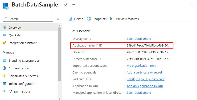 Screenshot of the Application ID shown in the Azure portal.