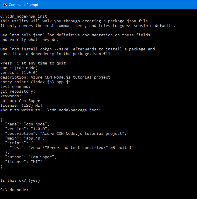 Captura de pantalla de la salida de inicialización de NPM.