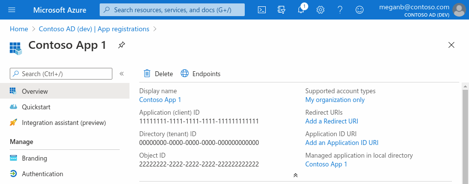 Screenshot of the Azure portal in a web browser, showing an app registration's Overview pane.