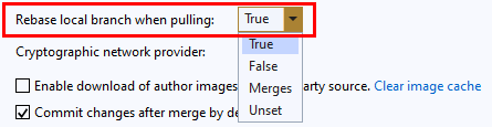 Captura de pantalla del valor de fusión mediante cambio de base en Team Explorer en Visual Studio 2019.