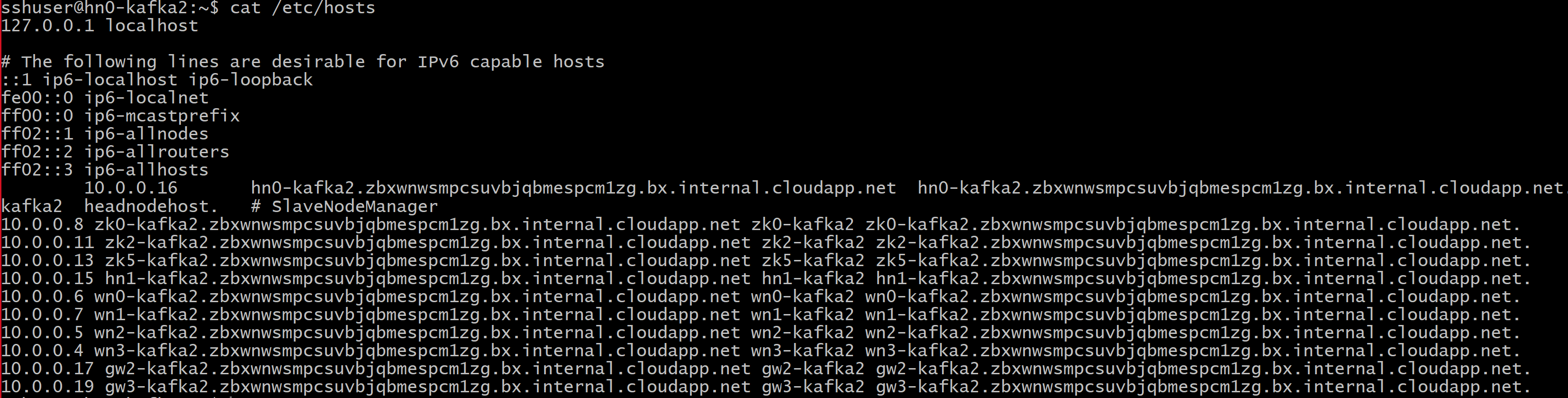 Captura de pantalla que muestra la salida del archivo hosts.