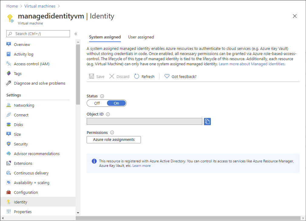 Captura de pantalla de la identidad administrada asignada por el sistema.