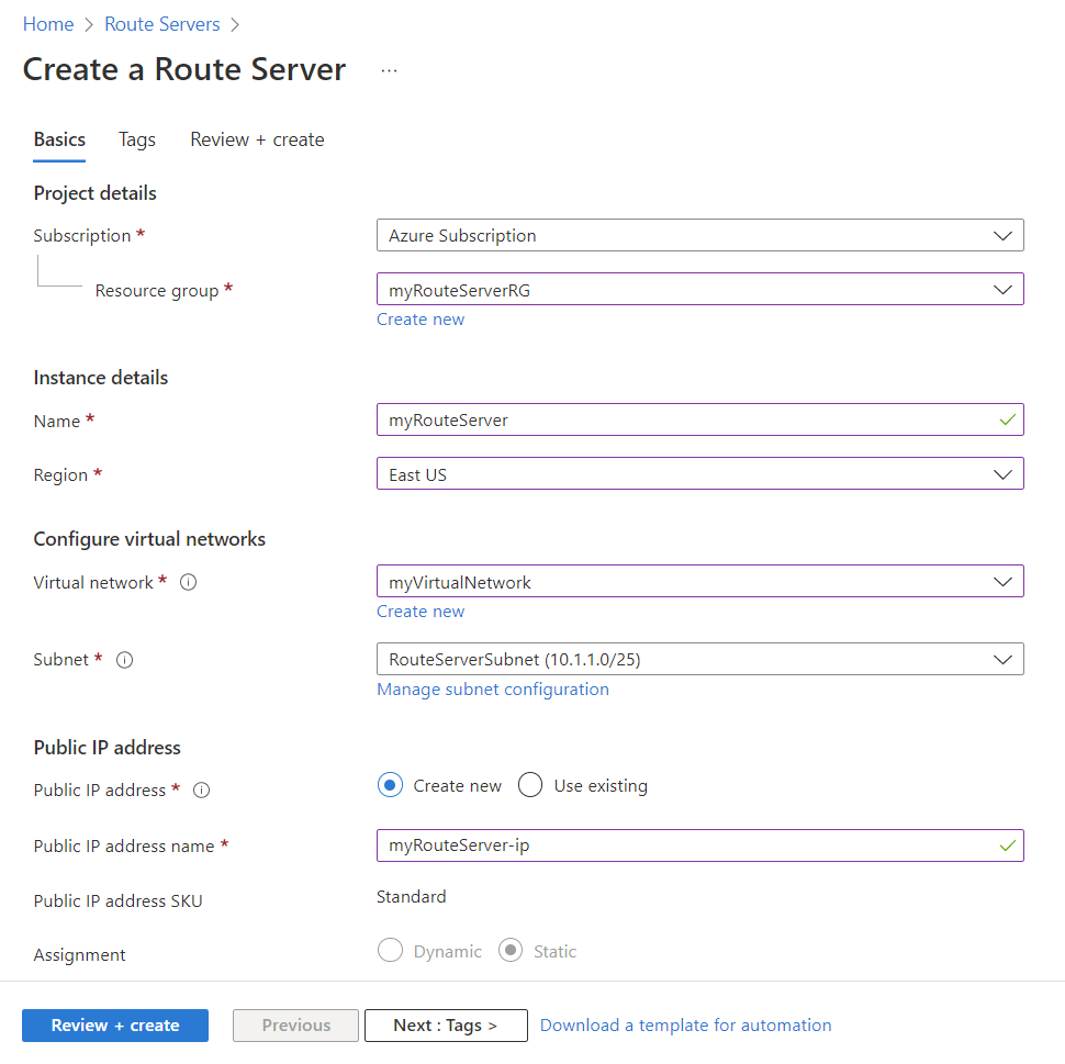 Captura de pantalla de la pestaña Aspectos básicos para la creación de la instancia de Route Server.