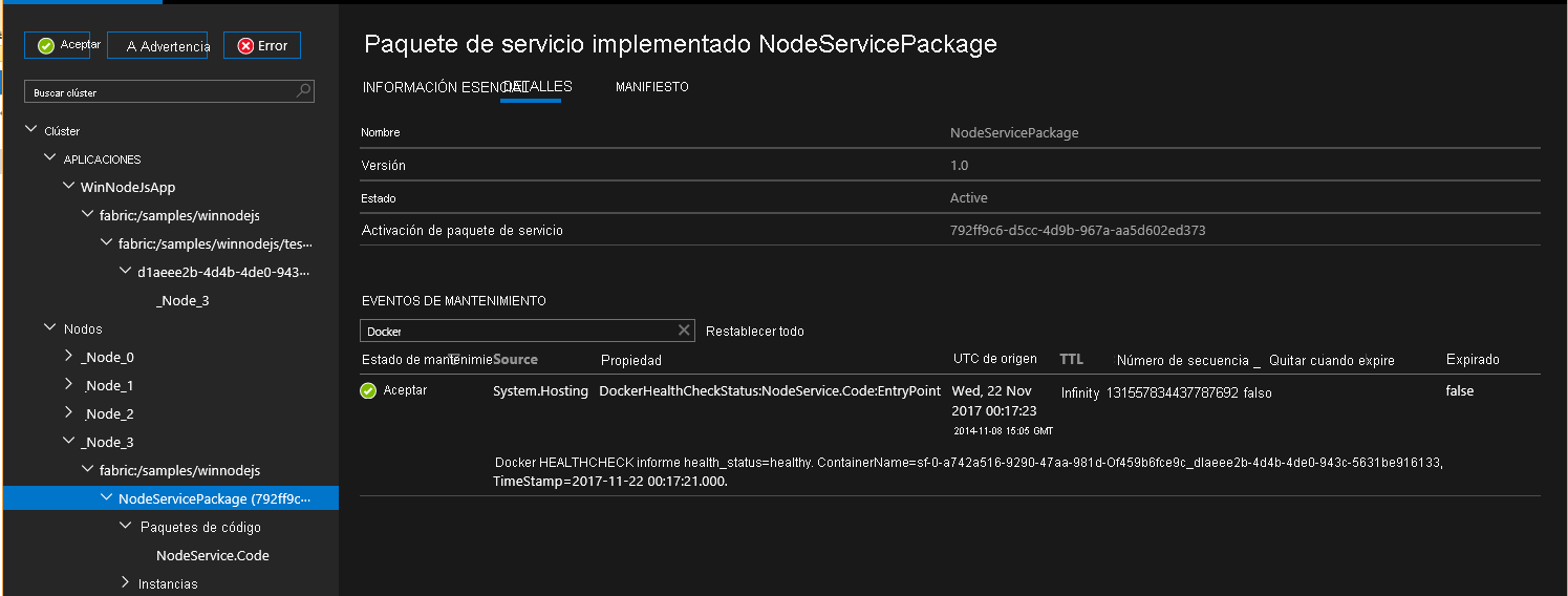 Screenshot shows details of the Deployed Service Package NodeServicePackage.