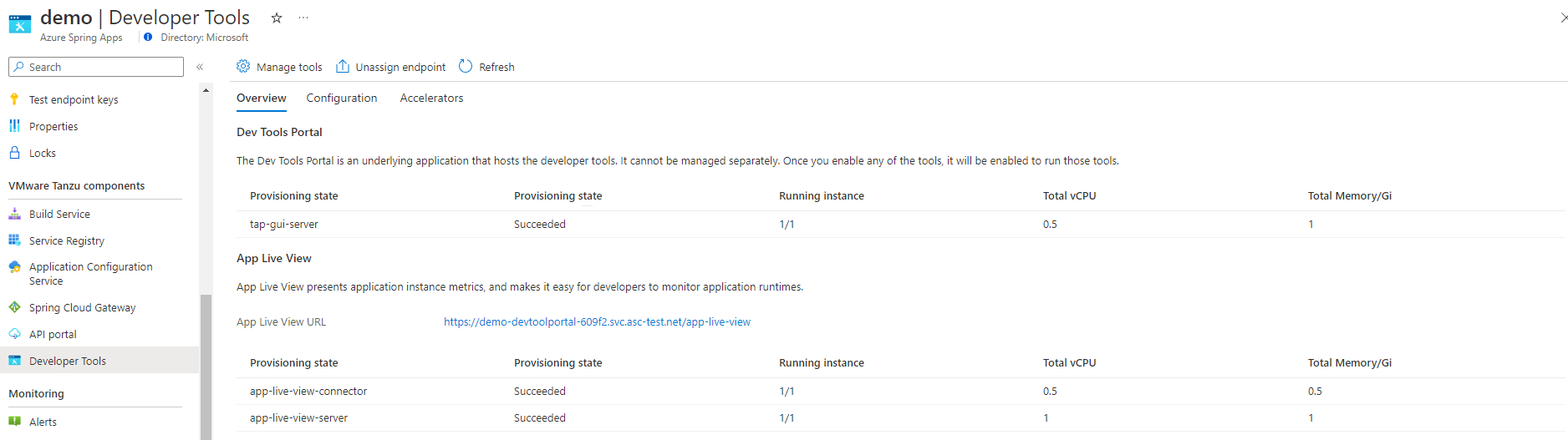 Captura de pantalla de Azure Portal en la que se muestra la pestaña Información general de la página Herramientas de desarrollo.