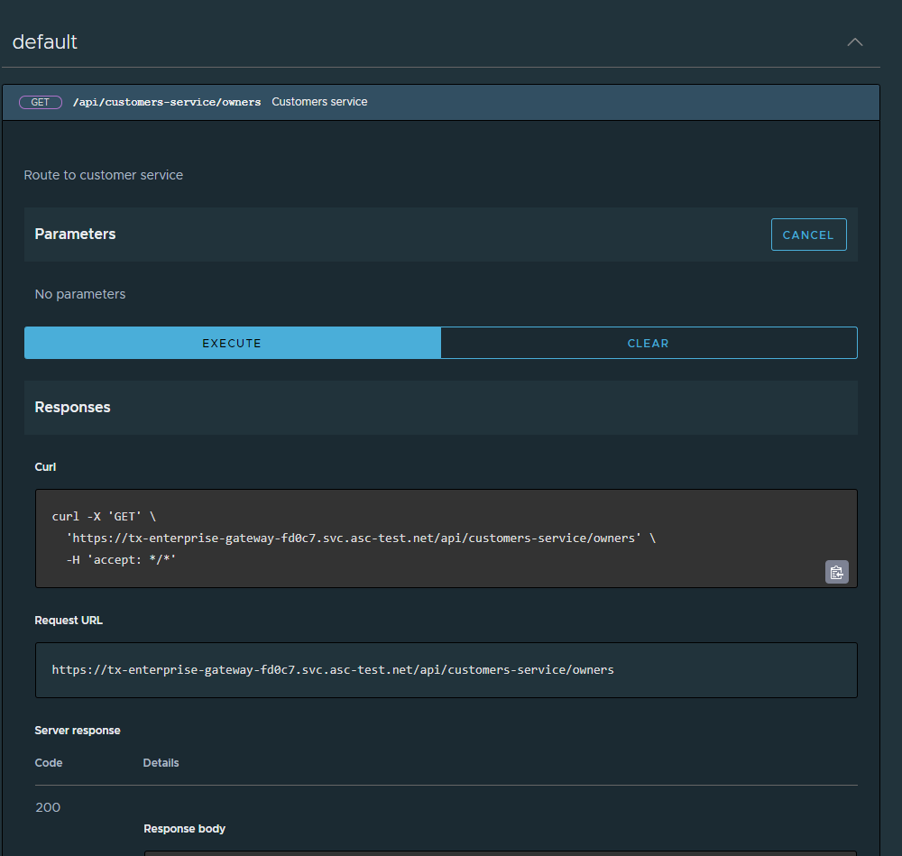 Captura de pantalla del portal de API que muestra la opción Ejecutar seleccionada.