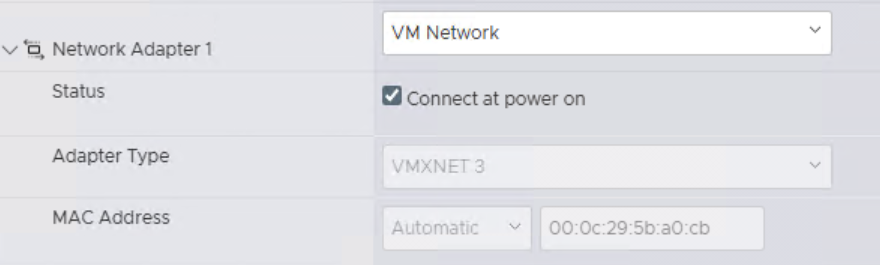 Captura de pantalla de la configuración de la máquina virtual mostrando el Adaptador de Red 1 con el Tipo de Adaptador configurado en VMXNET 3.