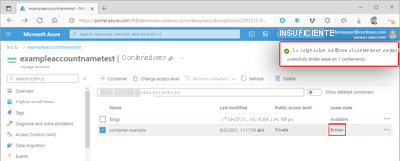 Screenshot showing a container's broken lease within the Azure portal.