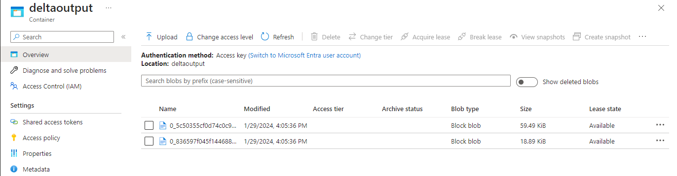Captura de pantalla que muestra los archivos de datos de salida en el contenedor.