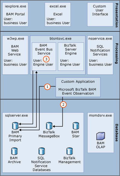 Imagen que muestra el proceso para la inserción de datos personalizada.