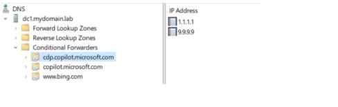 Captura de pantalla que muestra más reenviadores condicionales en la configuración del servidor DNS.