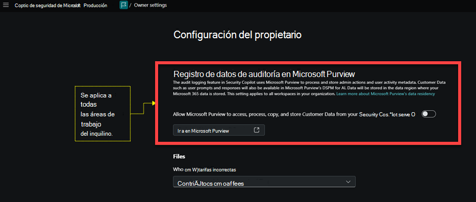 Imagen de la página de configuración del propietario con los datos de auditoría de registro resaltados.