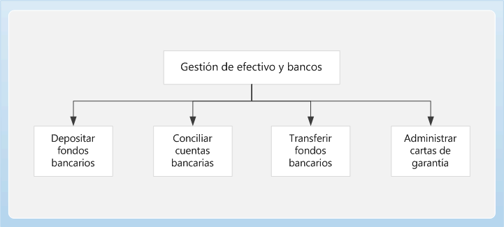 Cash and bank management Business Process