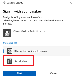 Captura de pantalla de la opción para elegir la clave de seguridad en Windows 11.