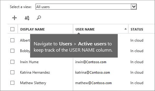 columna username en el Centro de administración de Microsoft 365.