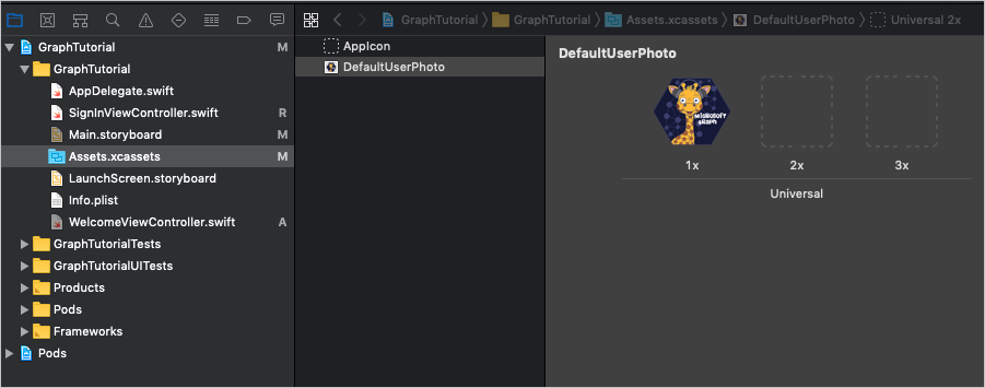 Captura de pantalla de la vista de activos Conjunto de imágenes en Xcode