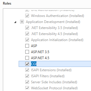 Captura de pantalla de C G I seleccionada en una interfaz de Windows Server 2012.