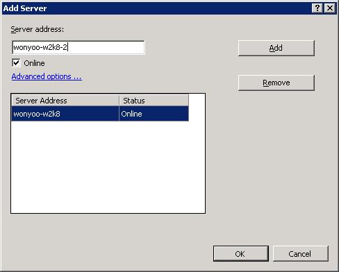 Captura de pantalla de la visualización de opciones avanzadas en el cuadro de diálogo Agregar servidor.