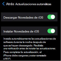 Captura de pantalla que muestra la configuración de actualización automática en dispositivos Apple iOS/iPadOS.