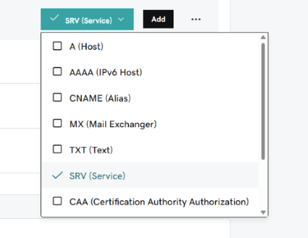 Captura de pantalla que muestra SRV seleccionado en la lista desplegable Tipo.